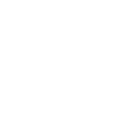 Colaborador 4